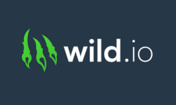 Wild.io Casino