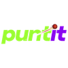 Puntit