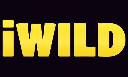 iWild Casino