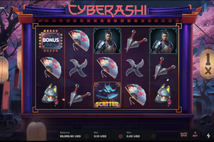 Cyberashi