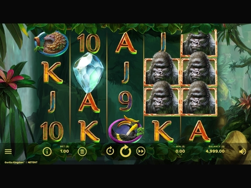 Gorilla Kingdom