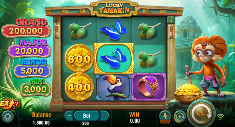 Lucky Tamarin