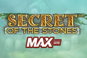 Secret of the Stones Max
