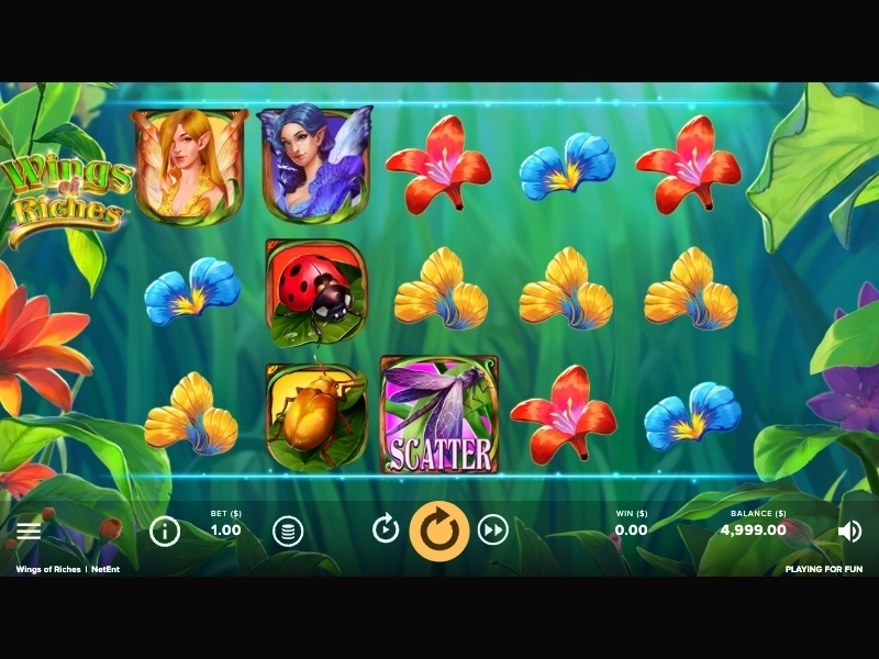 Wings of Riches